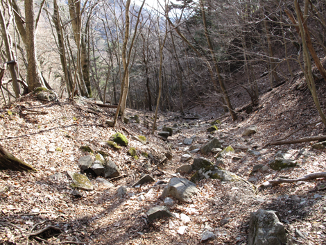 20160218hike (550)